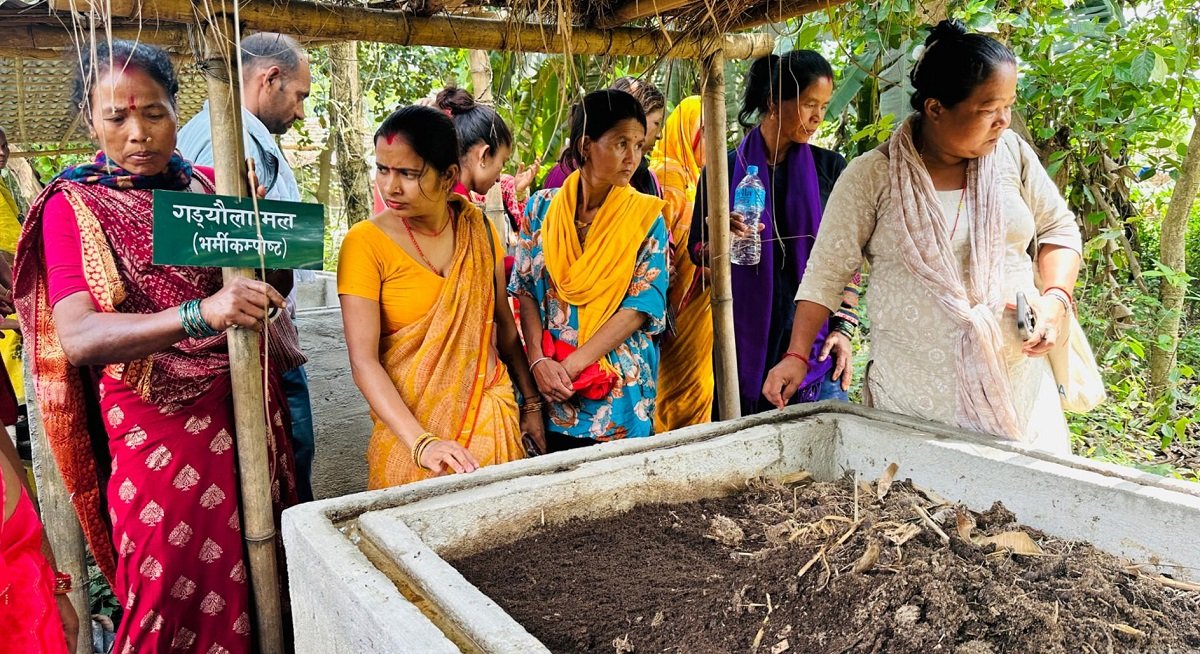 रासायनिक मललाई प्रतिस्थापन गर्दै गँड्यौला मल - Nepal Samaj