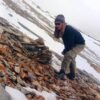 हिउँचितुवा गणना गर्न ५६ स्थानमा क्यामेरा राखियो