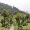 सोलेडाँडामा ‘जडीबुटी पार्क’