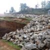 भोजपुरको खोक्सिकमा खेलमैदान स्तरोन्नतिको काम सुरु