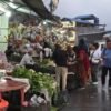 गर्मी छल्न भेडेटार आउने पर्यटकको कोसेली ‘अर्ग्यानिक तरकारी’