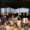 फोहरबाट रोजगारी र आम्दानी