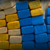 महोत्तरीमा ४८७ किलो गाँजासहित दुईजना पक्राउ