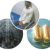 पेटभित्र सुनजस्तो धातुका क्याप्सुल लुकाएर ल्याउने बंगलादेशी नागरिक पक्राउ