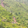 जाजरकोट पहिरोः एक जनाको मृत्यु, चार बेपत्ता