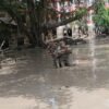 बाढी प्रभावितको उद्धारमा सेना राति पनि परिचालन