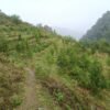 सिमस्याइलका लेकमा कृषि क्रान्ति गरिरहेका जयबहादुर