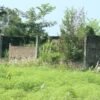 शीतभण्डार आयोजना अलपत्र,किसानको जग्गा सात वर्षदेखि उपयोगविहीन