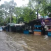 भारतमा बाढी–पहिरोमा ५६ जनाको मृत्यु, उत्तर प्रदेश सबैभन्दा प्रभावित
