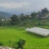 दुई दशकदेखि रोकिएको धुलिखेल जग्गा विकास आयोजना ब्युँतिँदै