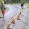पहलमान सिंहस्वाँर मार्ग भासियो