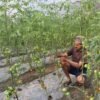 कोरिडोर केन्द्रित कृषि उत्पादन कार्यक्रम