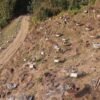 धनकुटामा मौरीपालनतर्फ बढ्दो आकर्षण: कम मिहिनेतमै लाखौँ आम्दानी