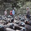रेशमी मार्गको विरासत धानेको च्याङ्ग्रा व्यापार