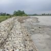 तटबन्धले सुरक्षित दोधारा चाँदनीको कुतियाकवर