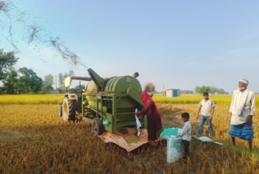 ‘थ्रेसर मेसिन’सञ्चालन गरेर गाउँमै स्वरोजगार