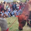सकियो खम्ये जात्रा